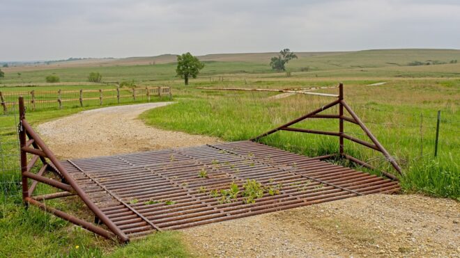 Cattle grid