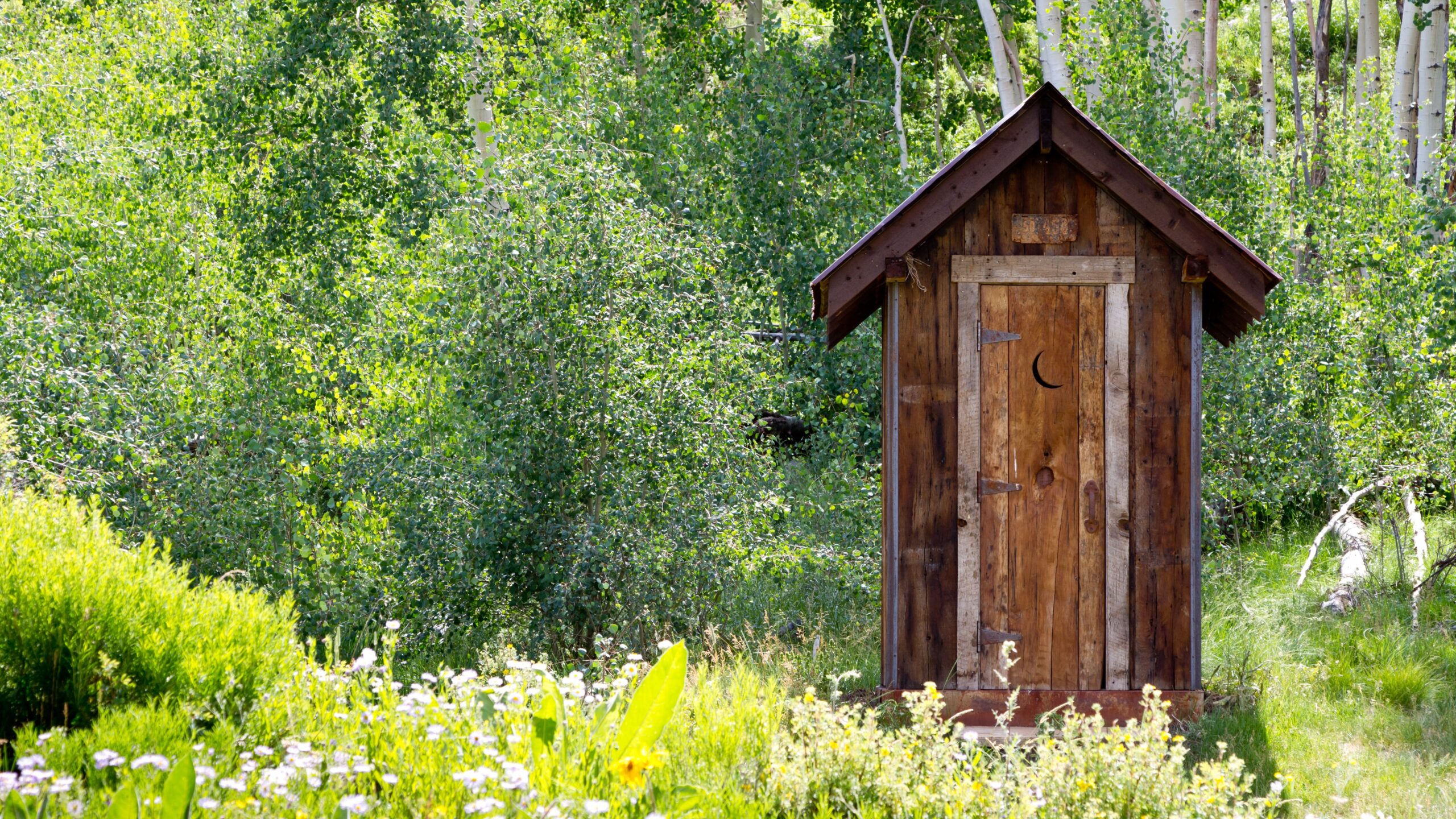 Outhouse