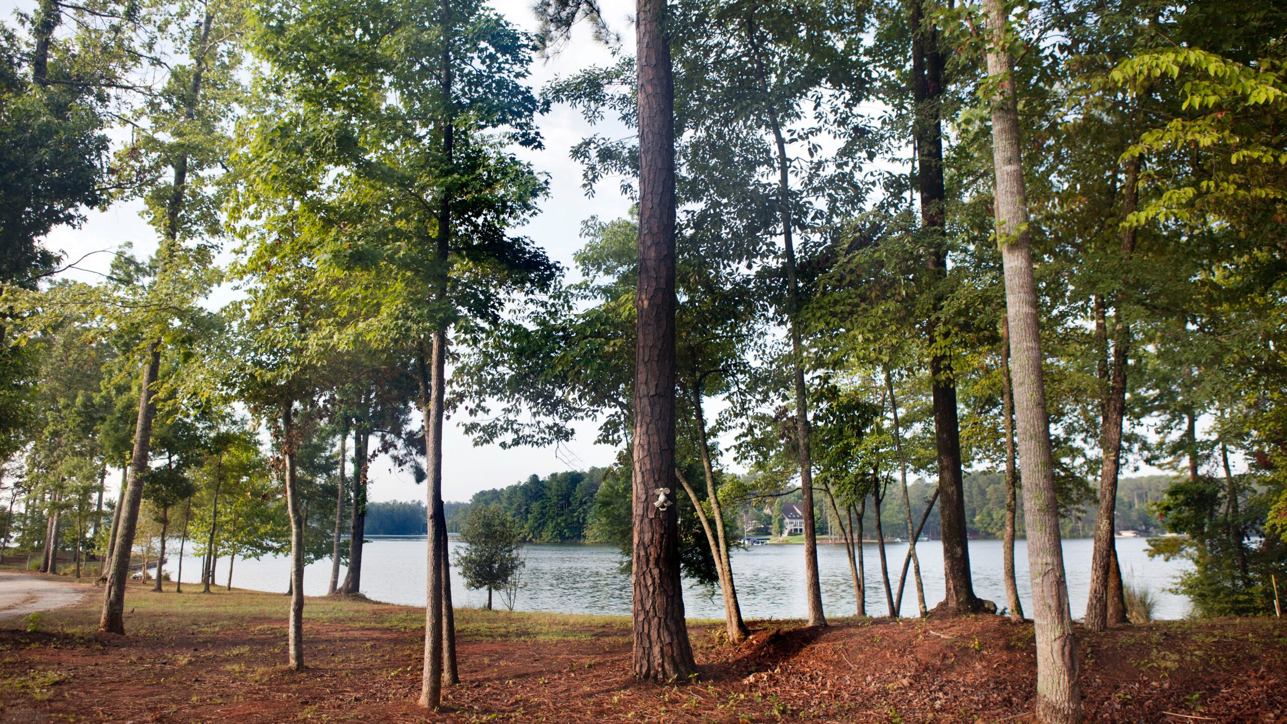 Georgia lake