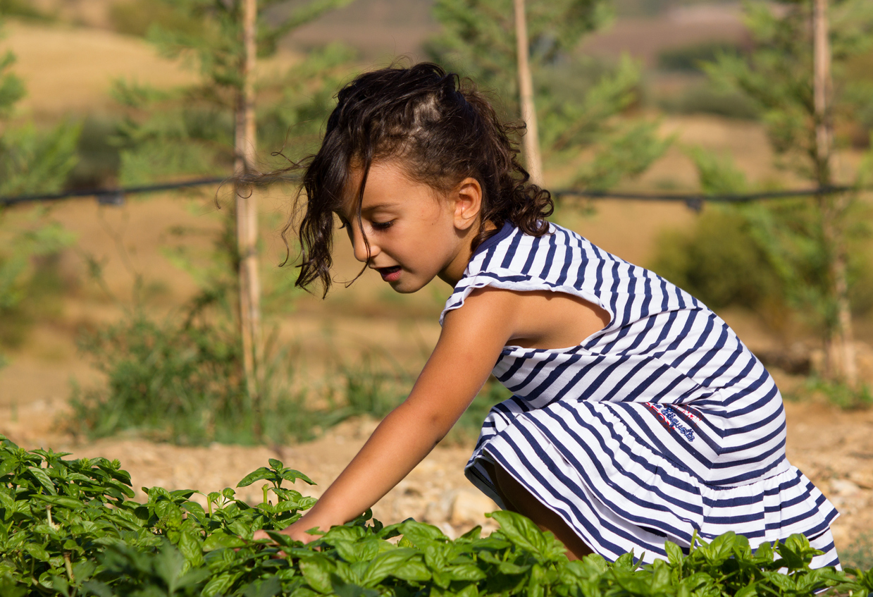 little girl in garden