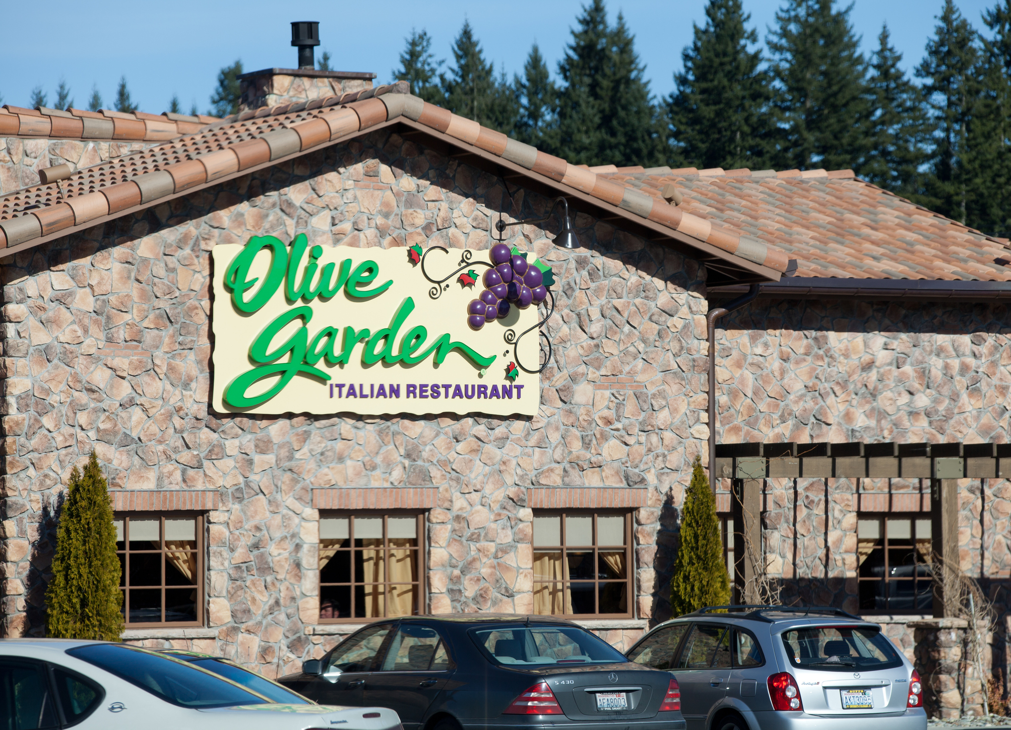 Olive Garden Restaurant