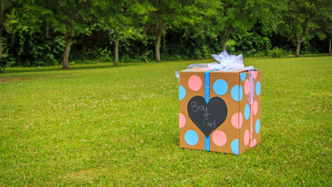 Gender_Reveal_Outside_Box