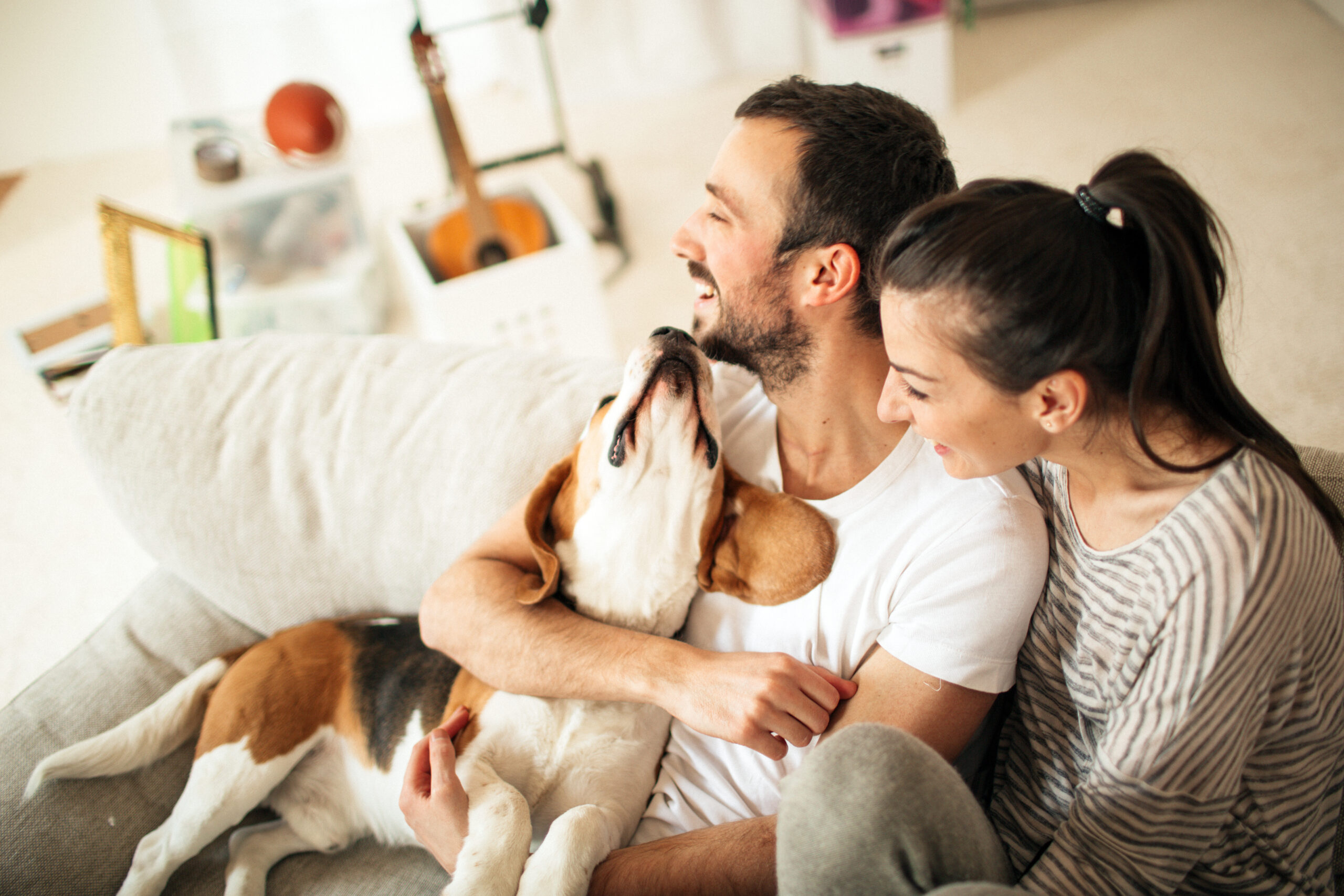 Family with a dog