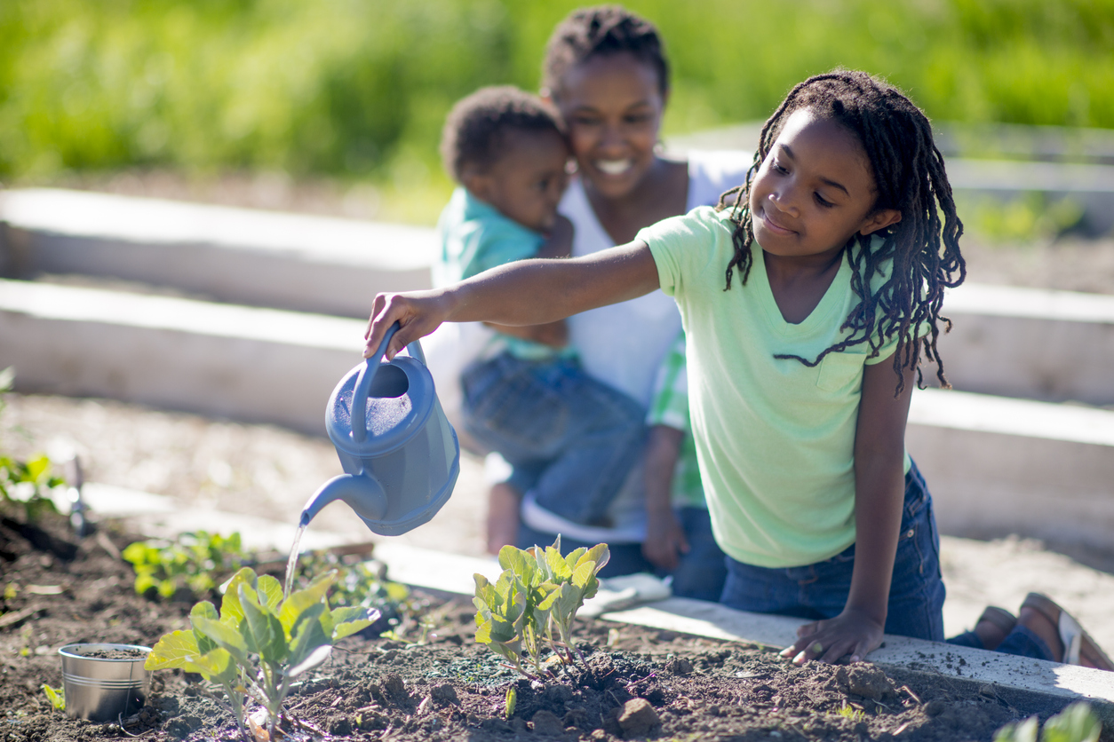 Watering the Vegetable Garden