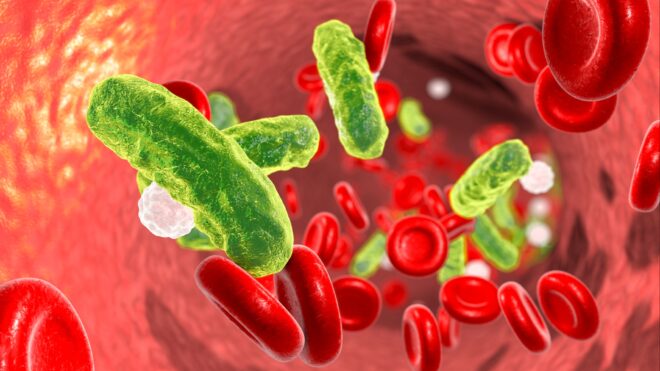 Bacteria in blood