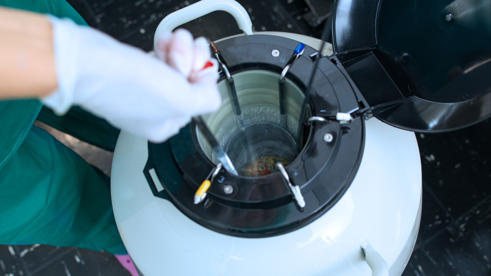 embryologist storing sample in canister