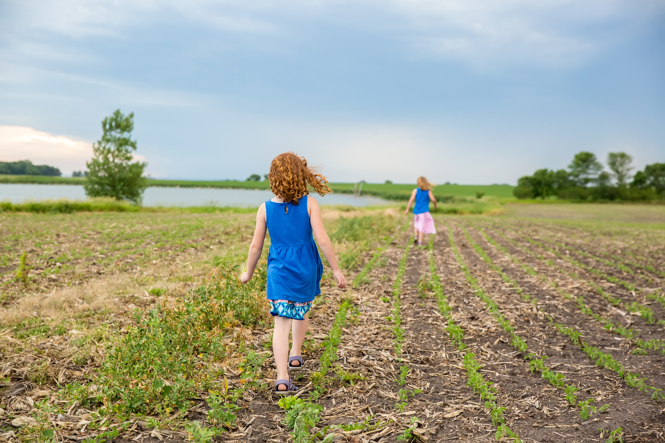 Two Young Girls Walking Through Bean Field