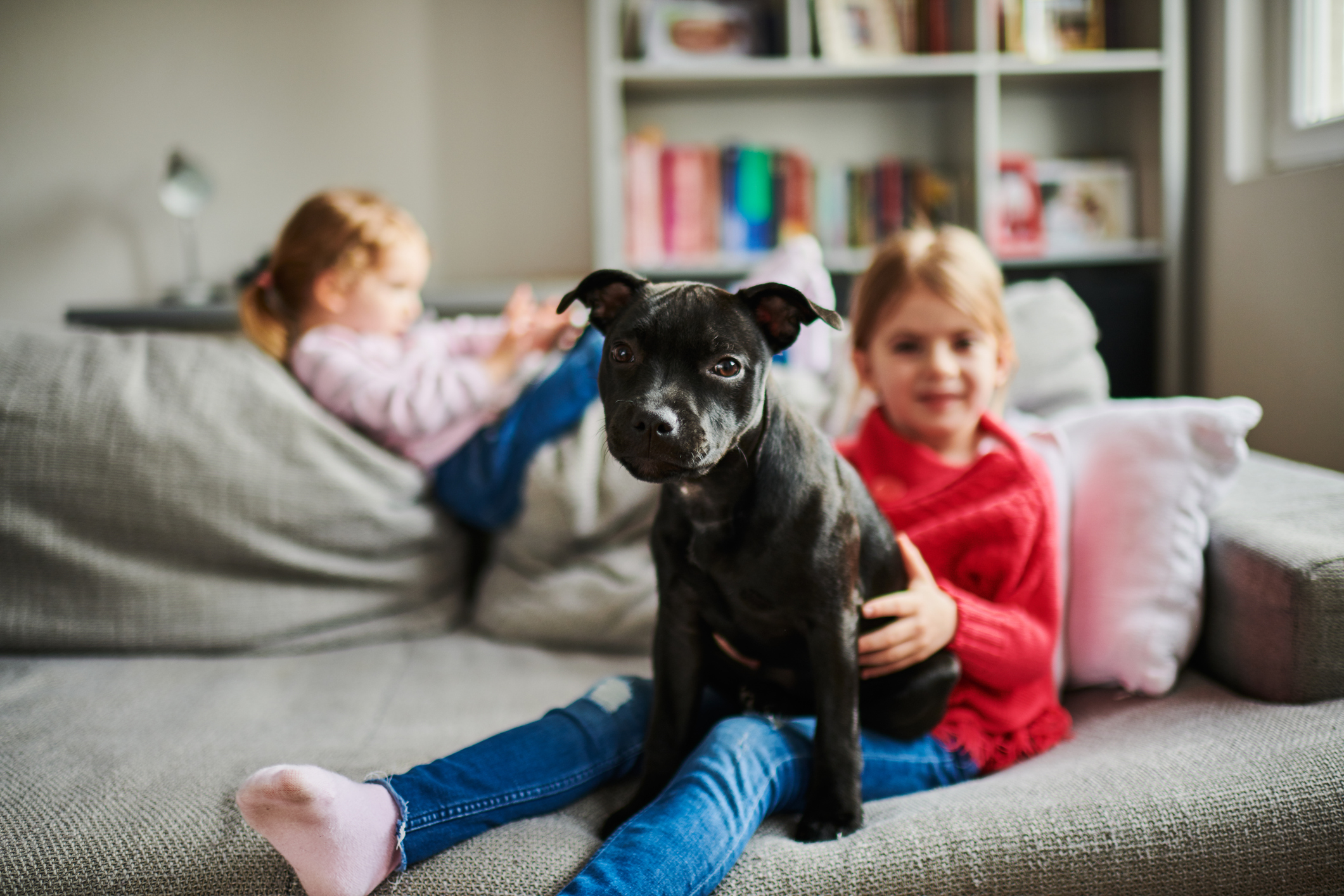 Children and a dog