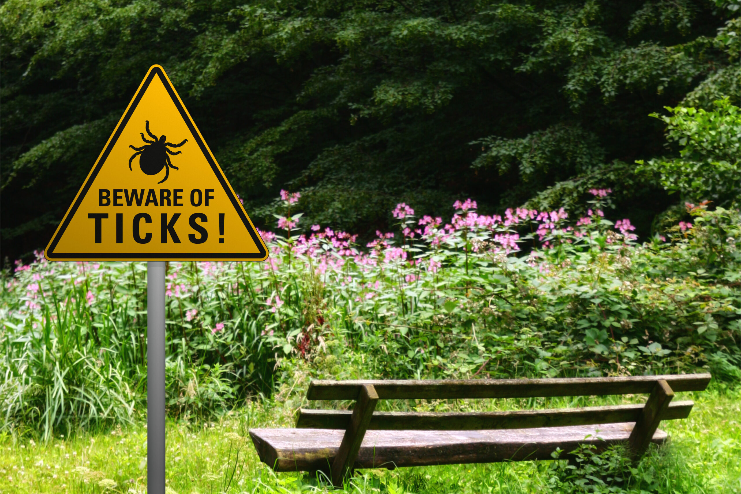 Beware of ticks at a bench in the nature