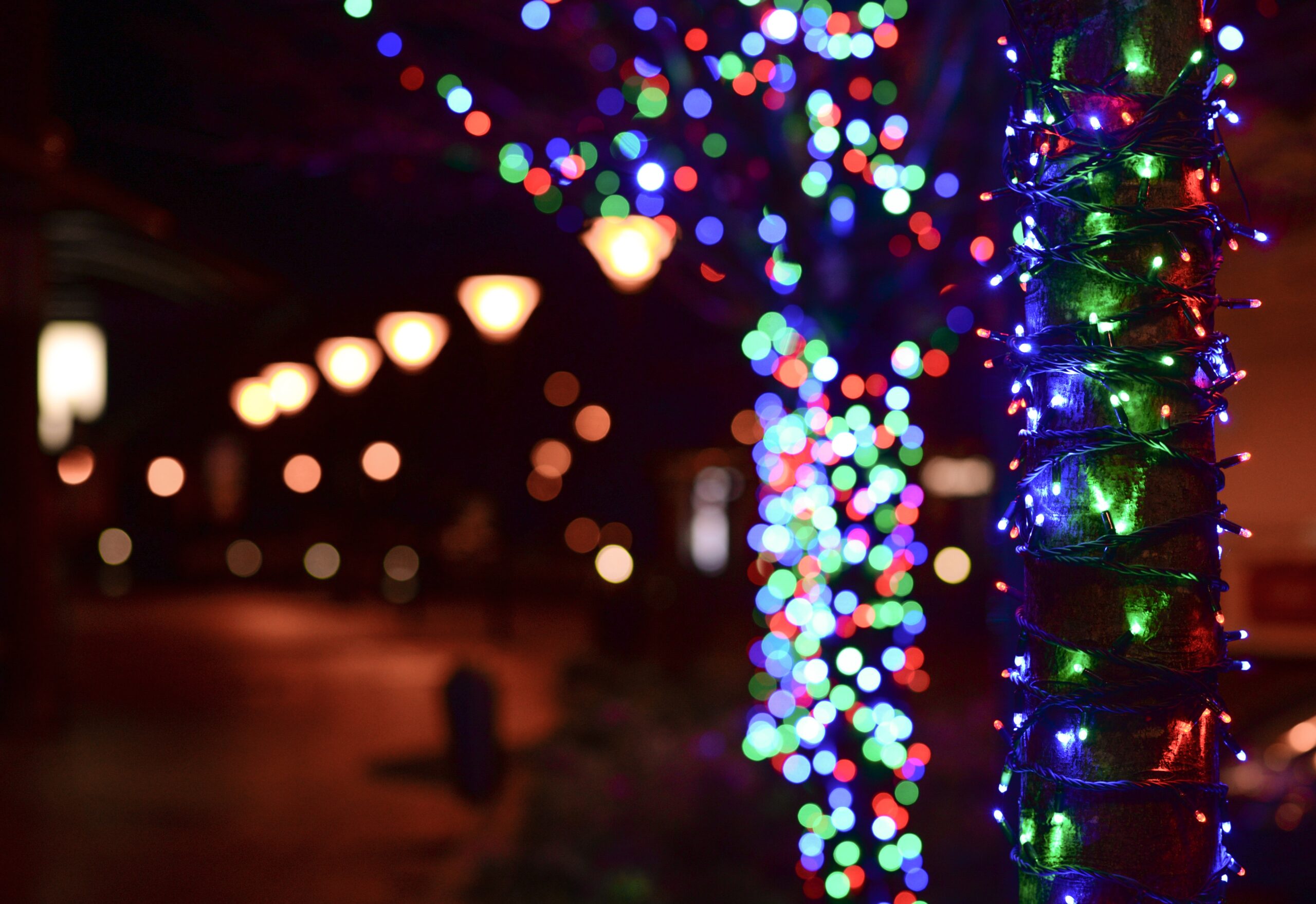 illuminated-christmas-lights-at-night-722680.jpg