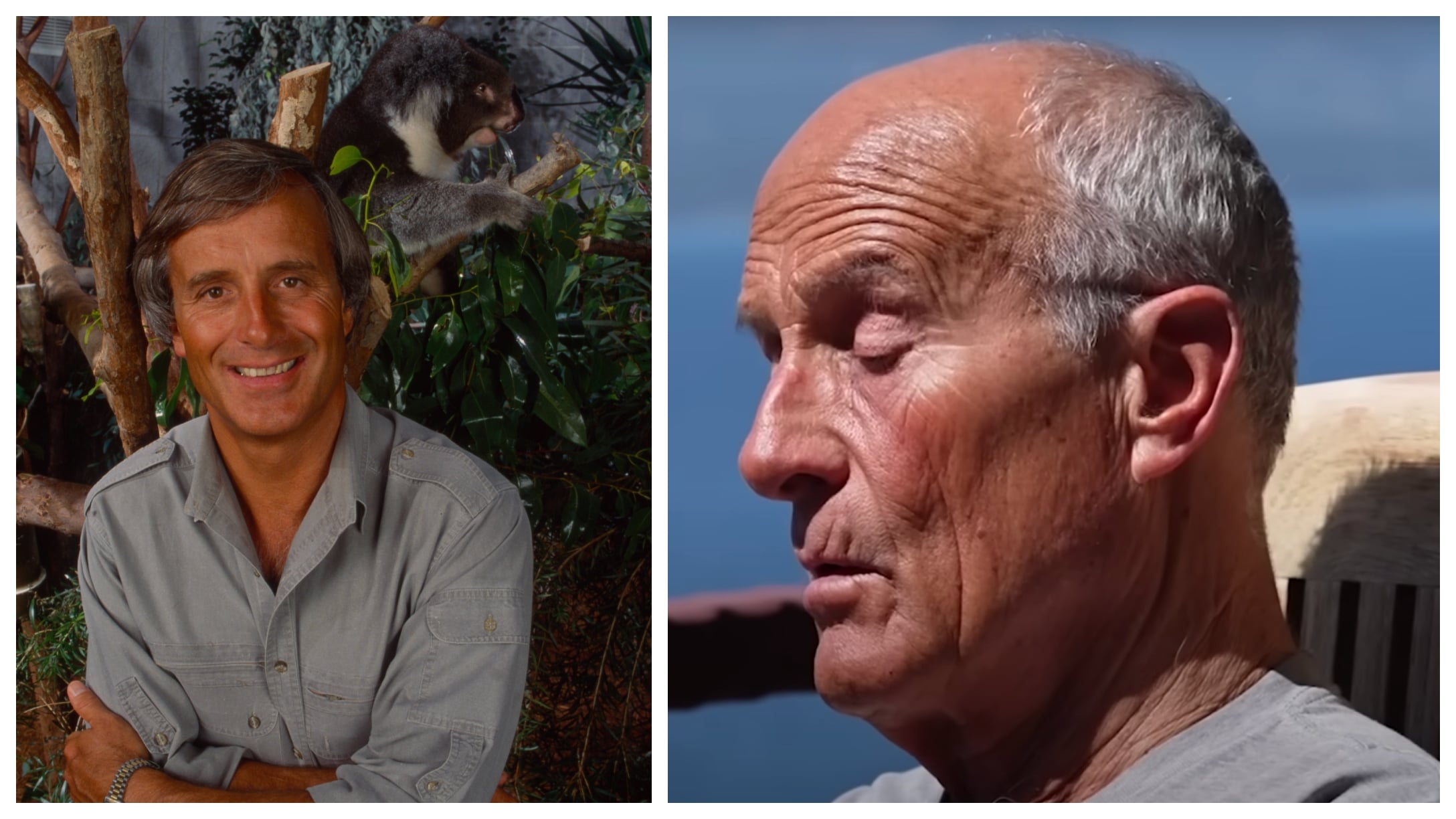 A Glimpse Inside Zoologist Jack Hanna's Life As He Battles Advanced ...