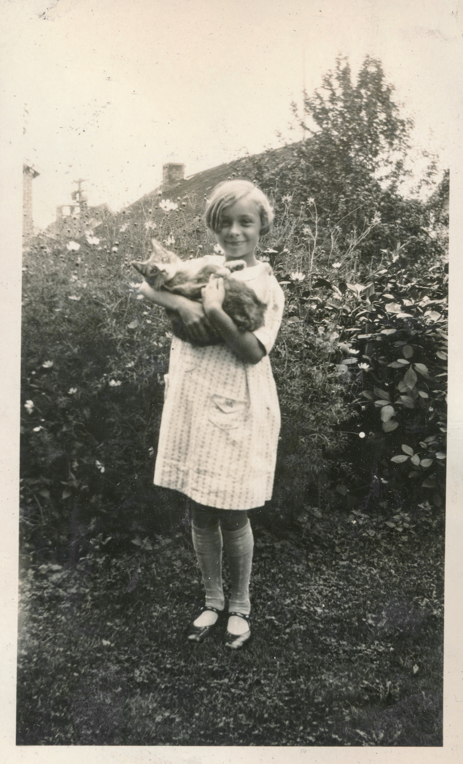 Little girl holding a cat