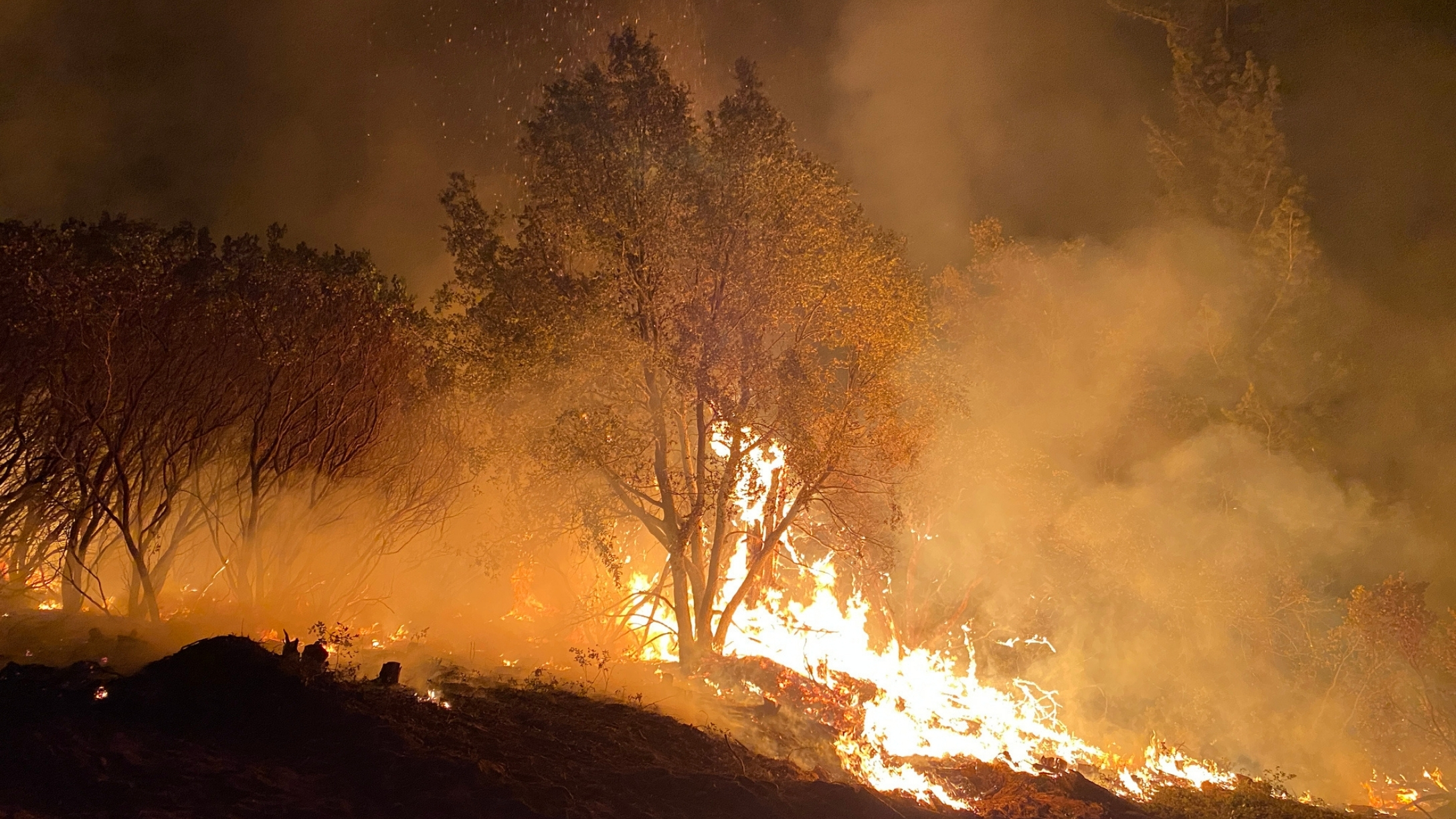 lake-tahoe-caldor-fire