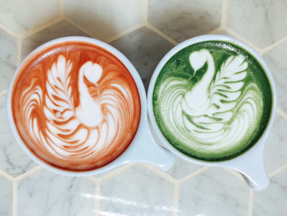 latte-art-of-swans_t20_0AGwX9.jpg