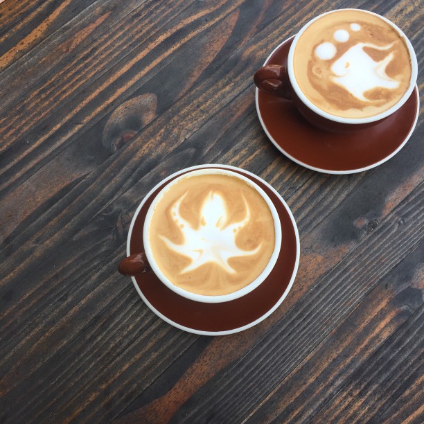 latte-art_t20_ZzpEKY.jpg