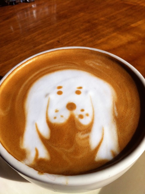 latte-art_t20_z9zgYG.jpg