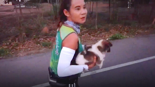 marathonpuppy