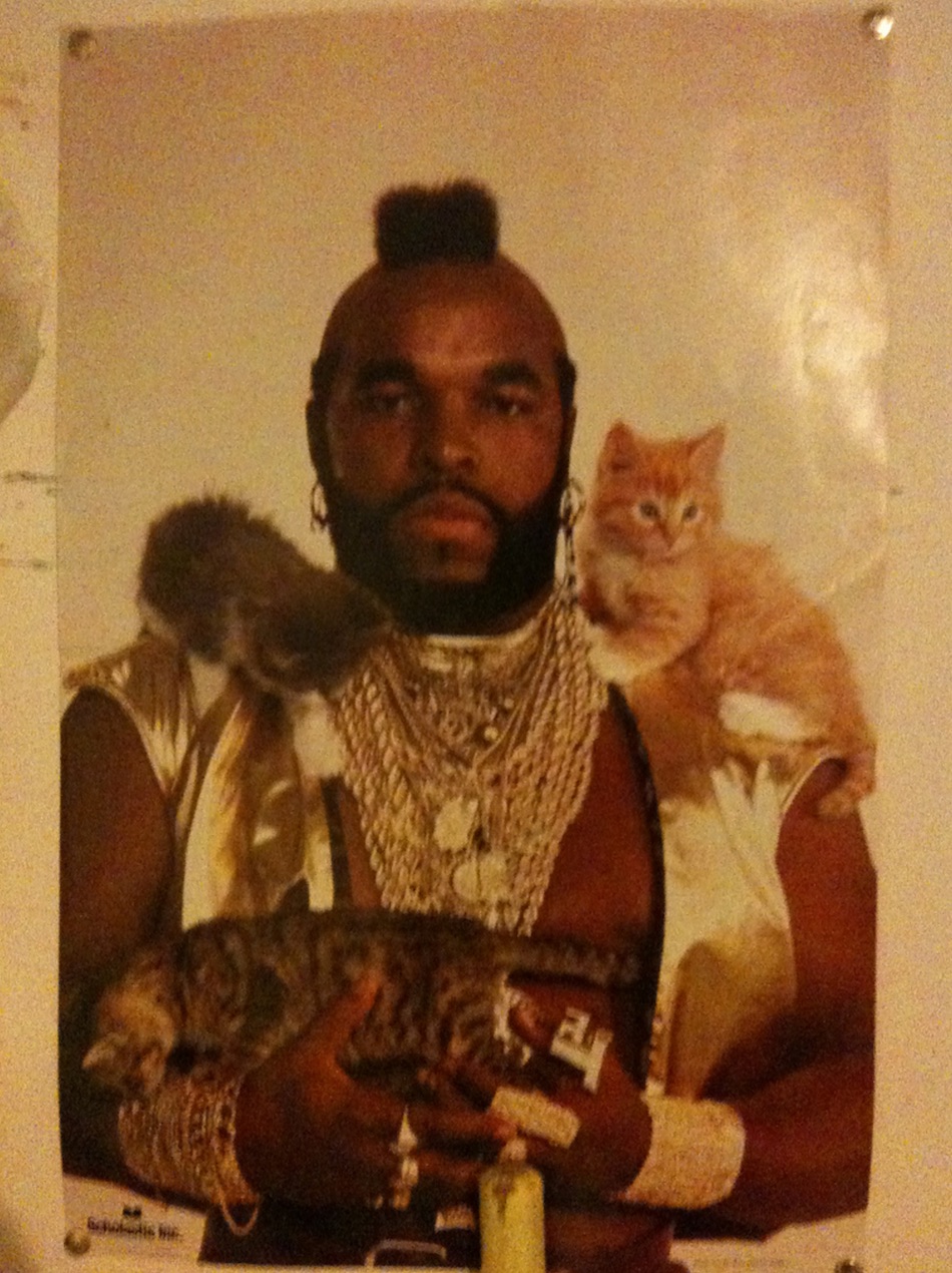 mr-t.jpg