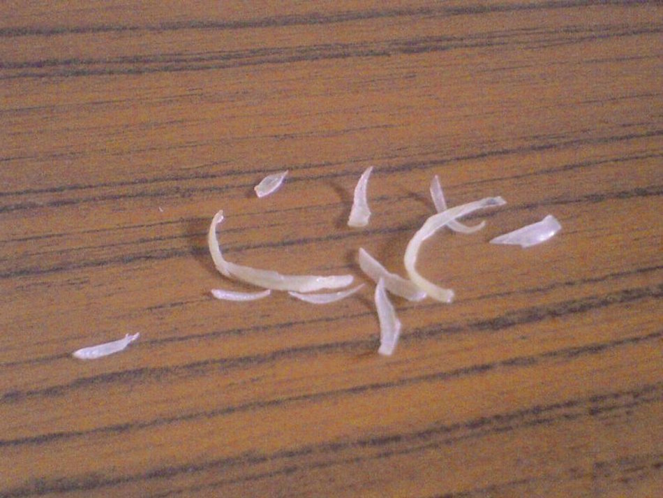 nails.jpg