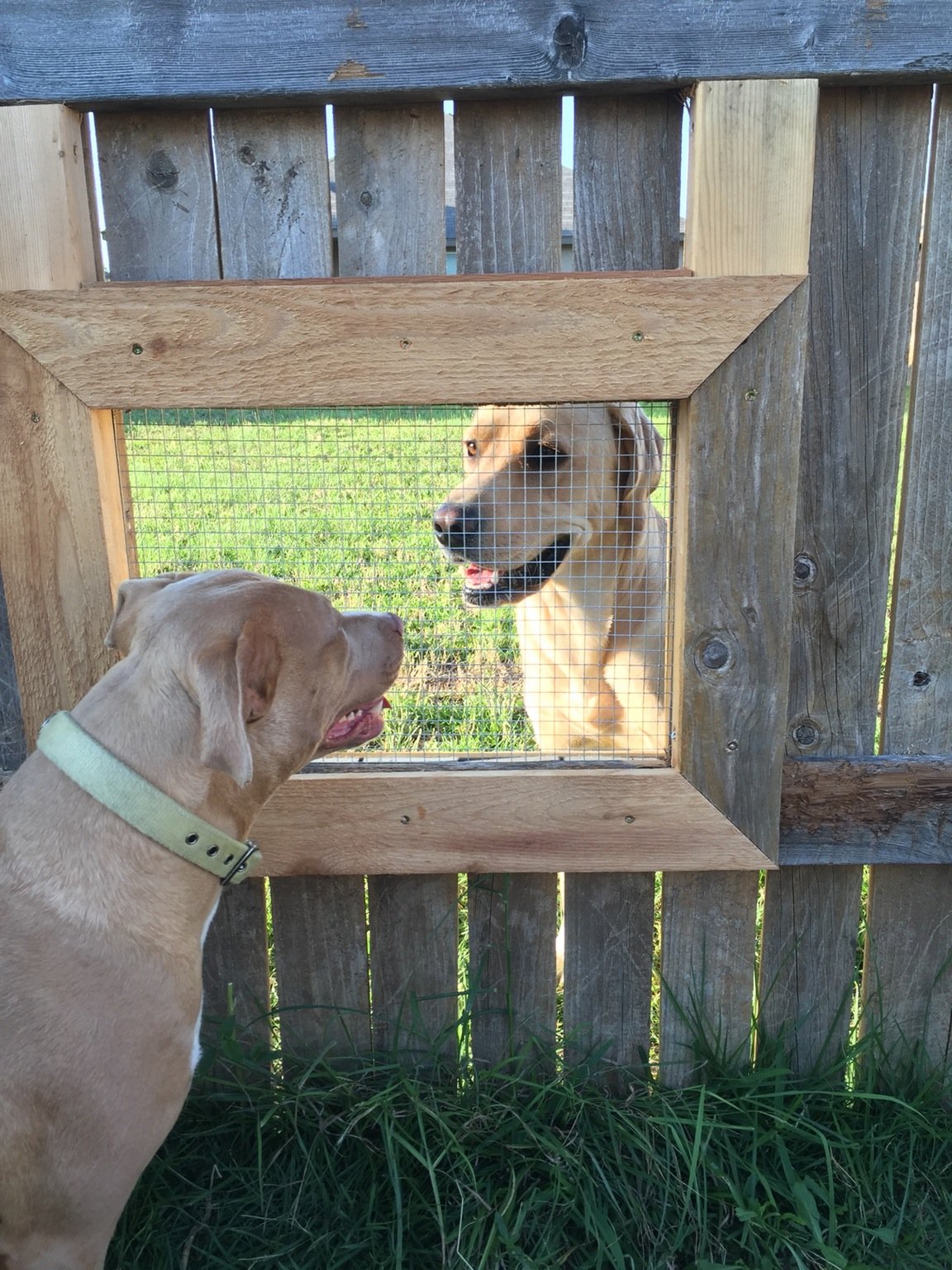 peek-3.jpeg peek-3.jpeg