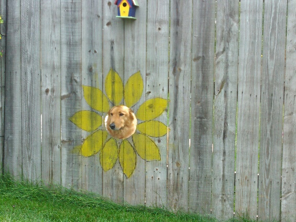 peek-5.jpg