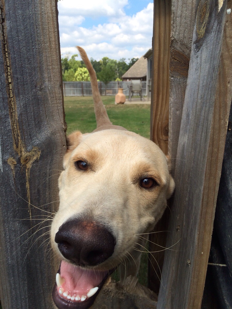 peek-7.jpg