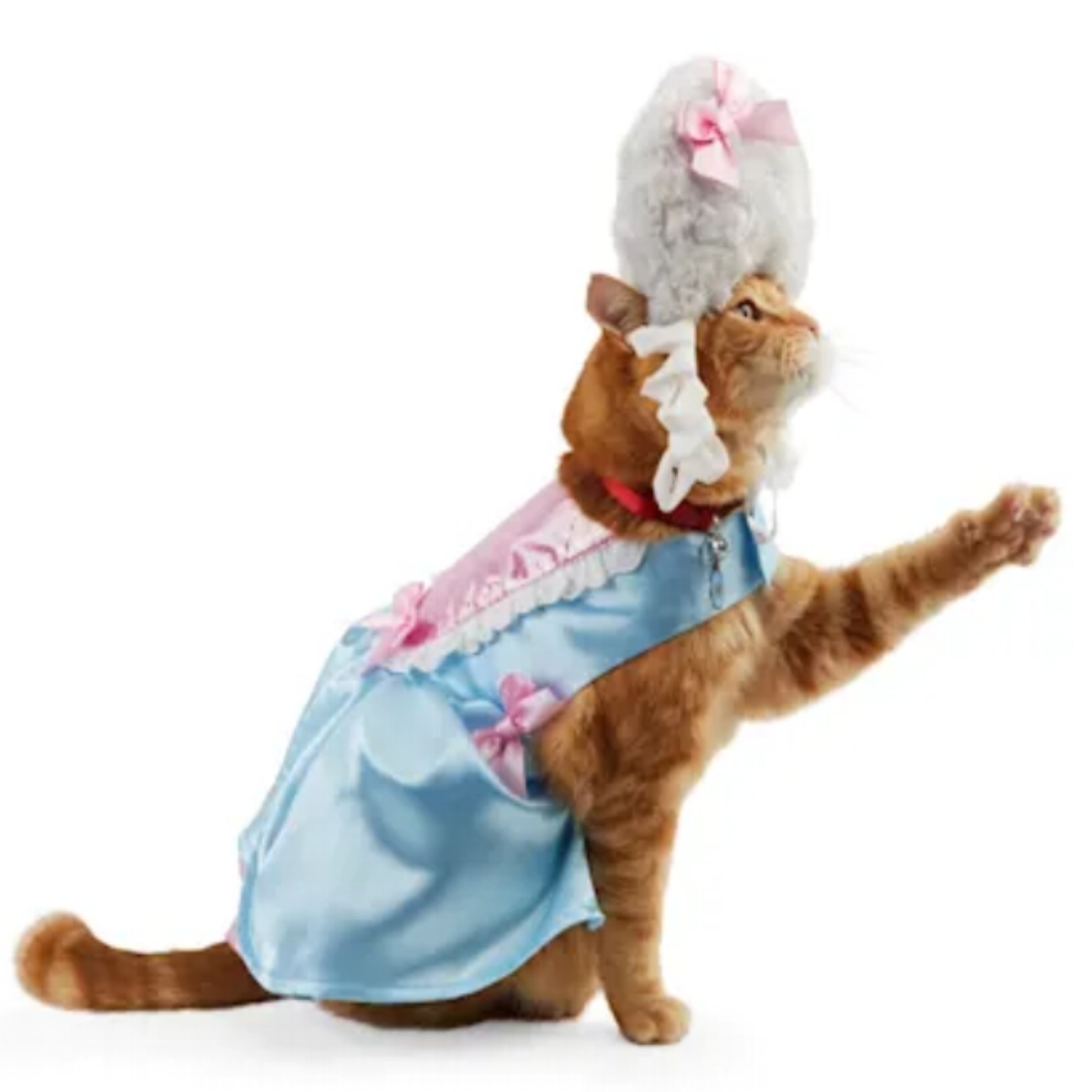 pet-halloween-costumes-2021-1.jpg