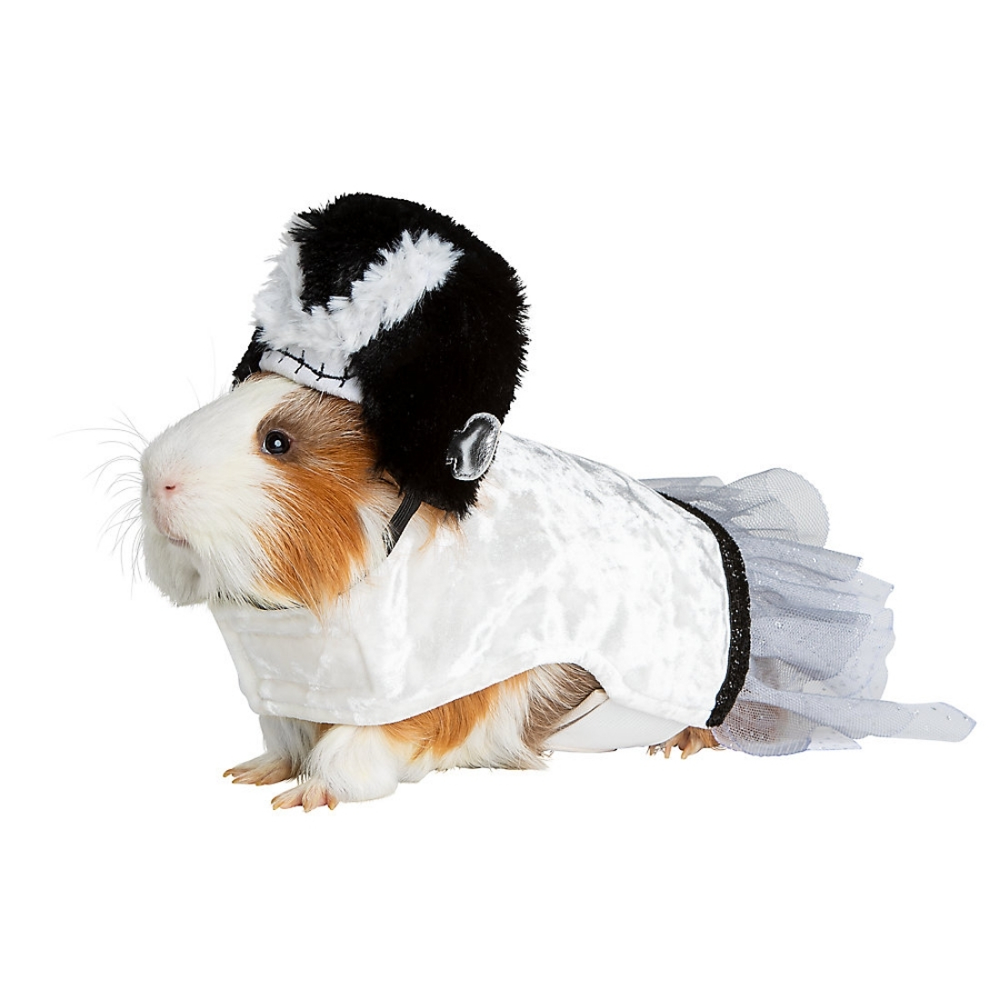 pet-halloween-costumes-2021-12.jpg