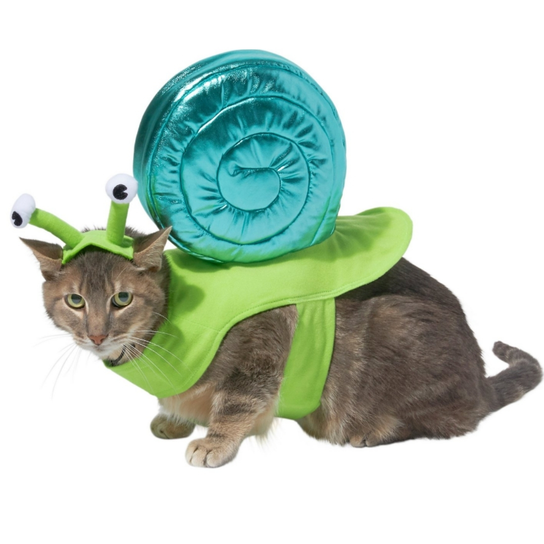 pet-halloween-costumes-2021-13.jpg