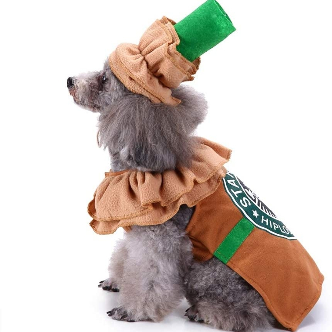 pet-halloween-costumes-2021-14.jpg