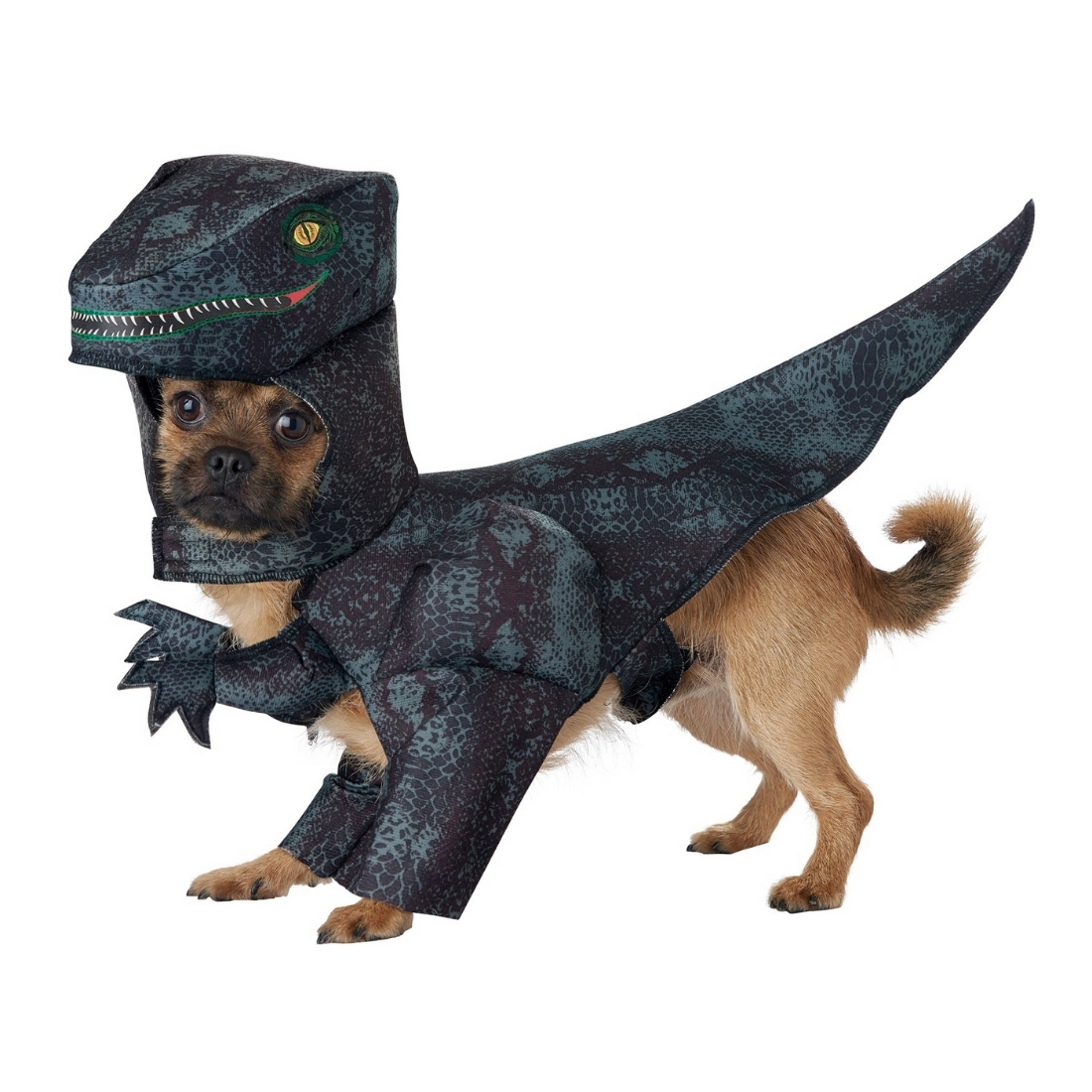 pet-halloween-costumes-2021-2.jpg