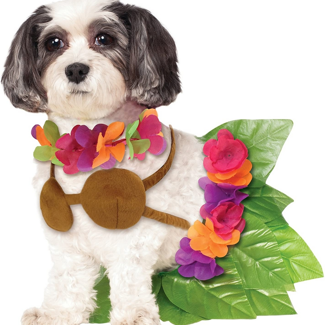 pet-halloween-costumes-2021-3.jpg