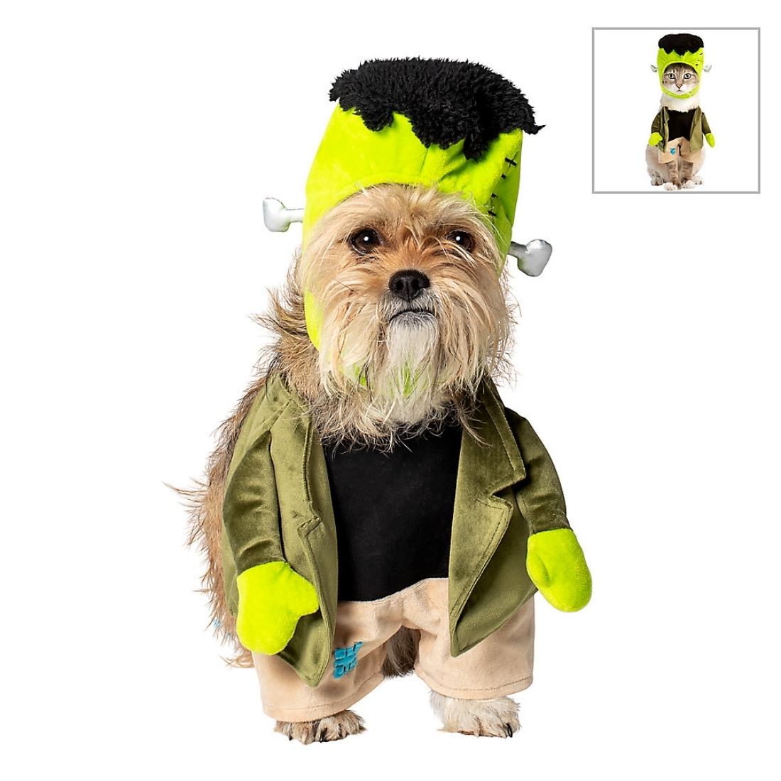 pet-halloween-costumes-2021-5.jpg