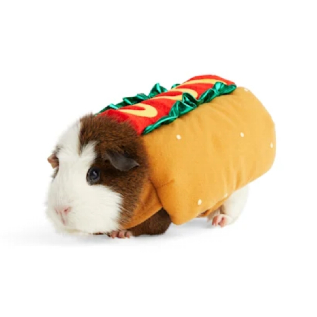 pet-halloween-costumes-2021-6.jpg