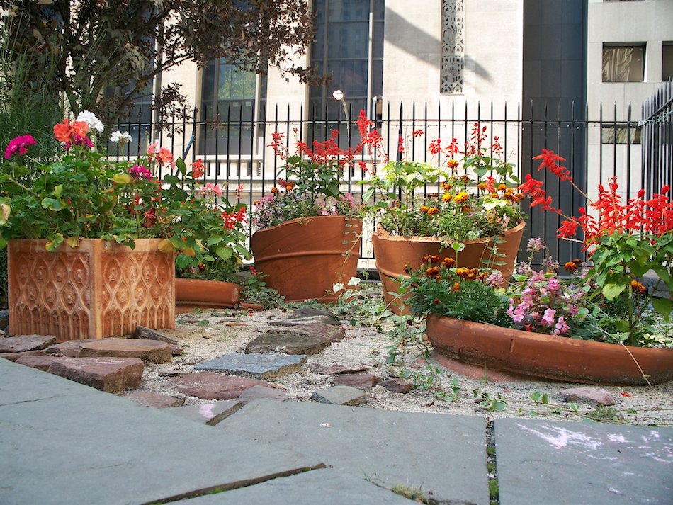 potted-plants.jpg