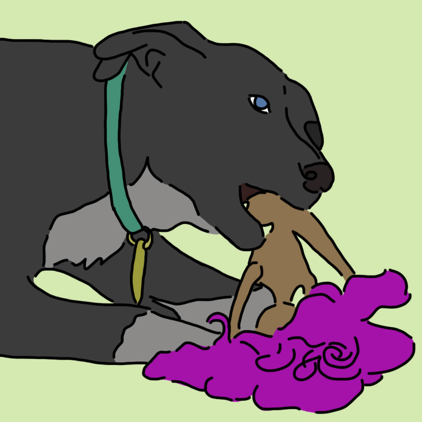 pottytrainingdogs_850px_1.jpg