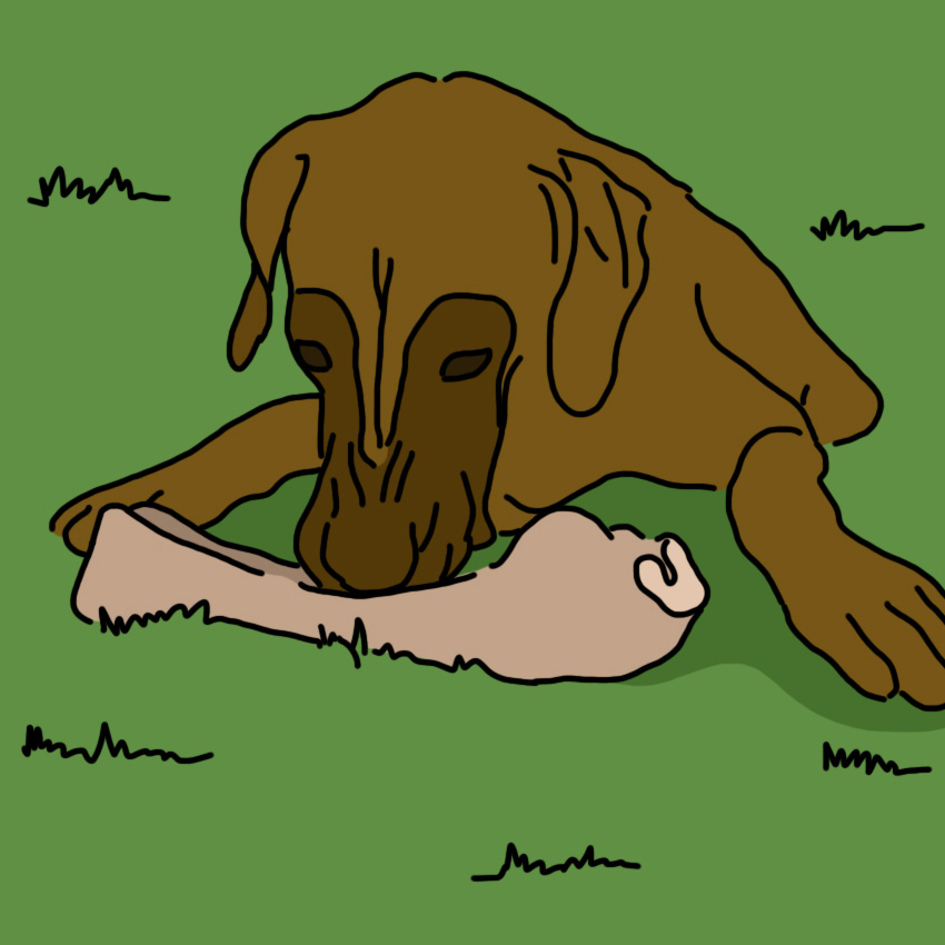 pottytrainingdogs_850px_10.jpg