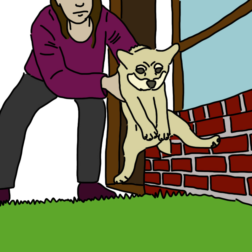 pottytrainingdogs_850px_2.jpg