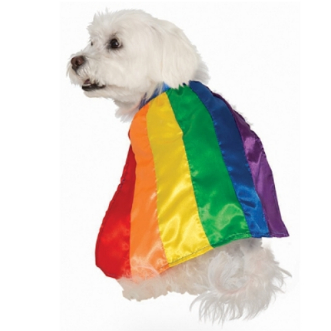 pup-pride-accessories-5.jpg