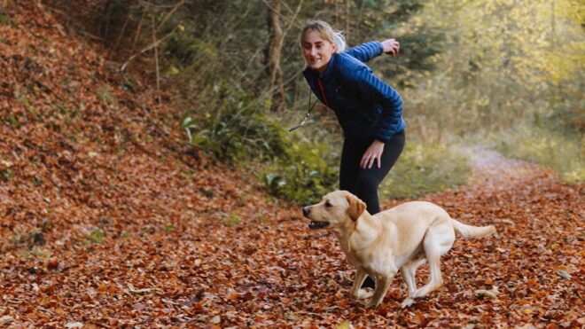 puppy-training-bundle
