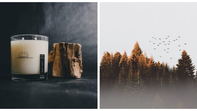ranger-station-collage