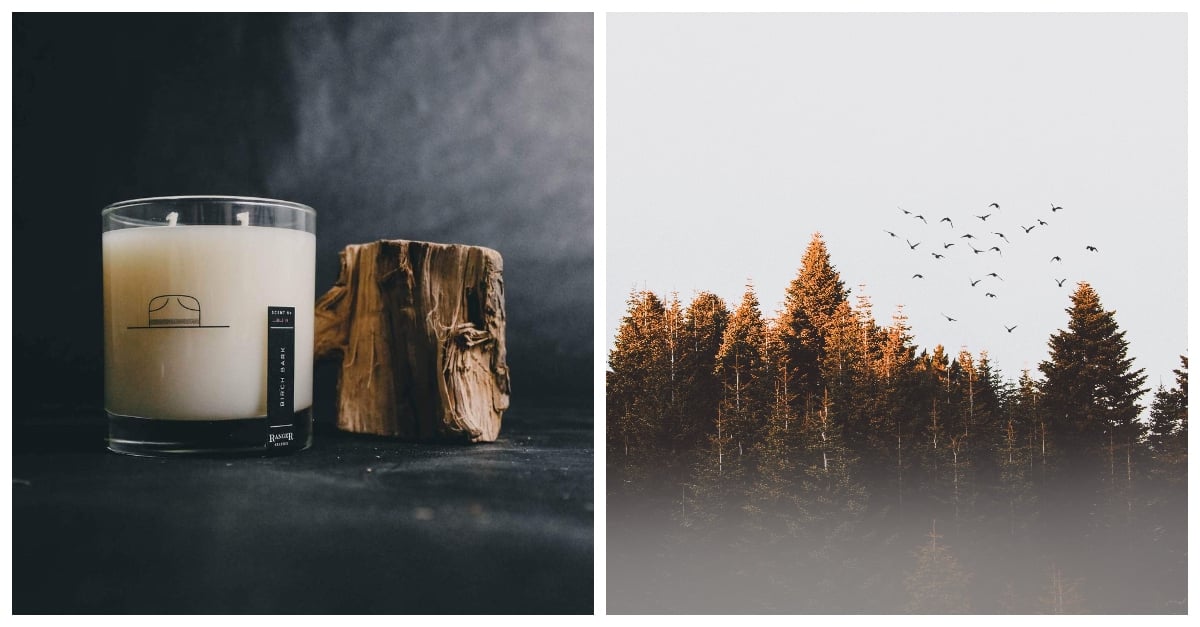 ranger-station-collage