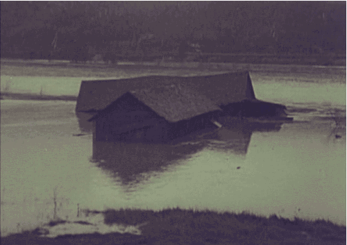real-estate-7.gif