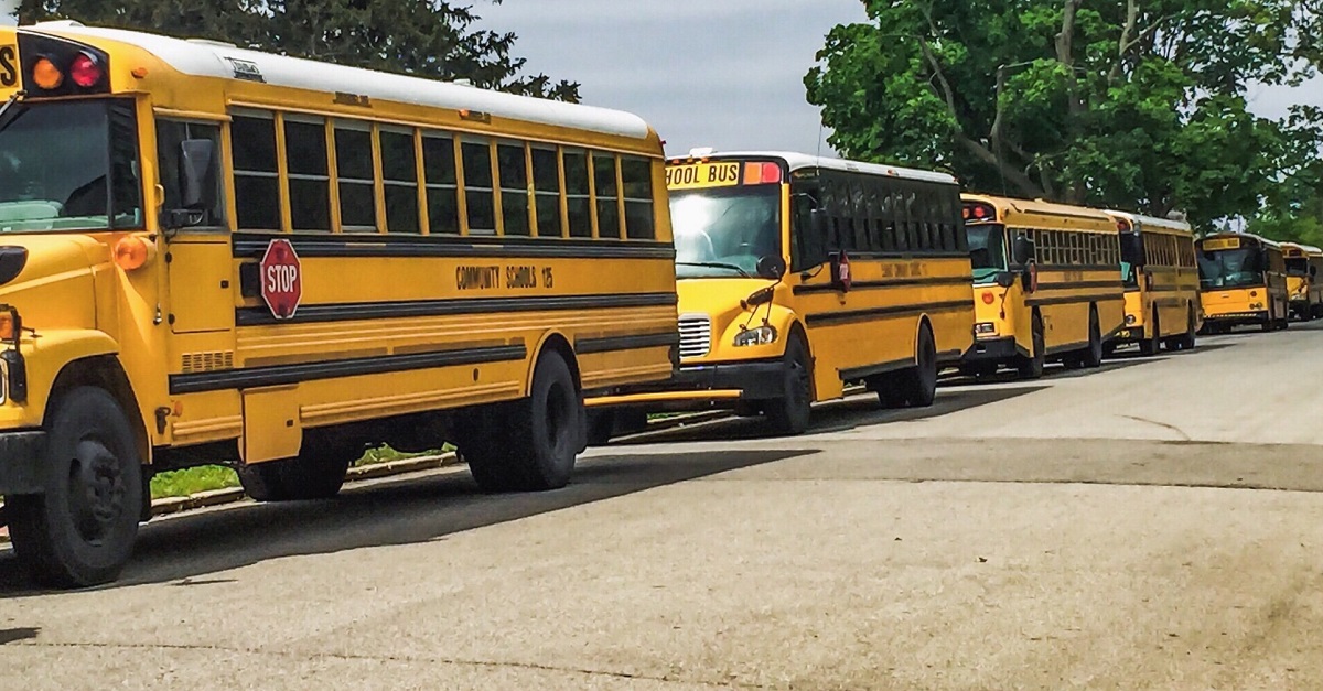 school-buses