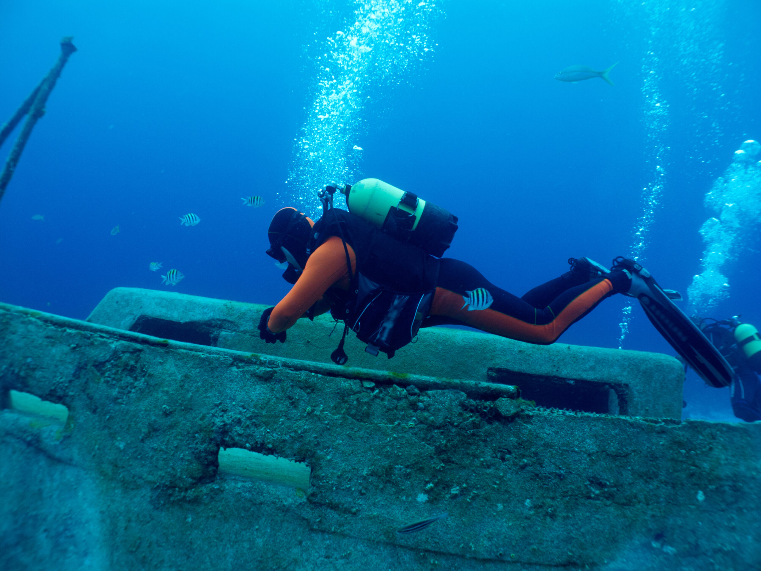 Diver,Explores,A,Wreck