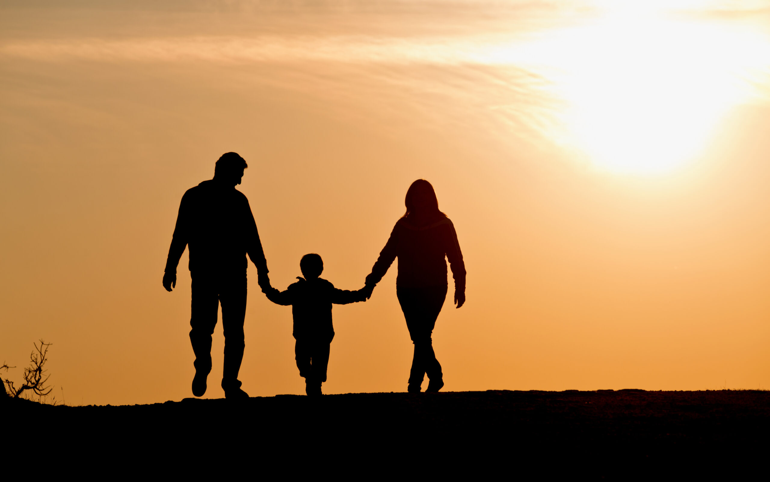 Silhouette,Of,Family,On,The,Outdoor,At,Dusk.