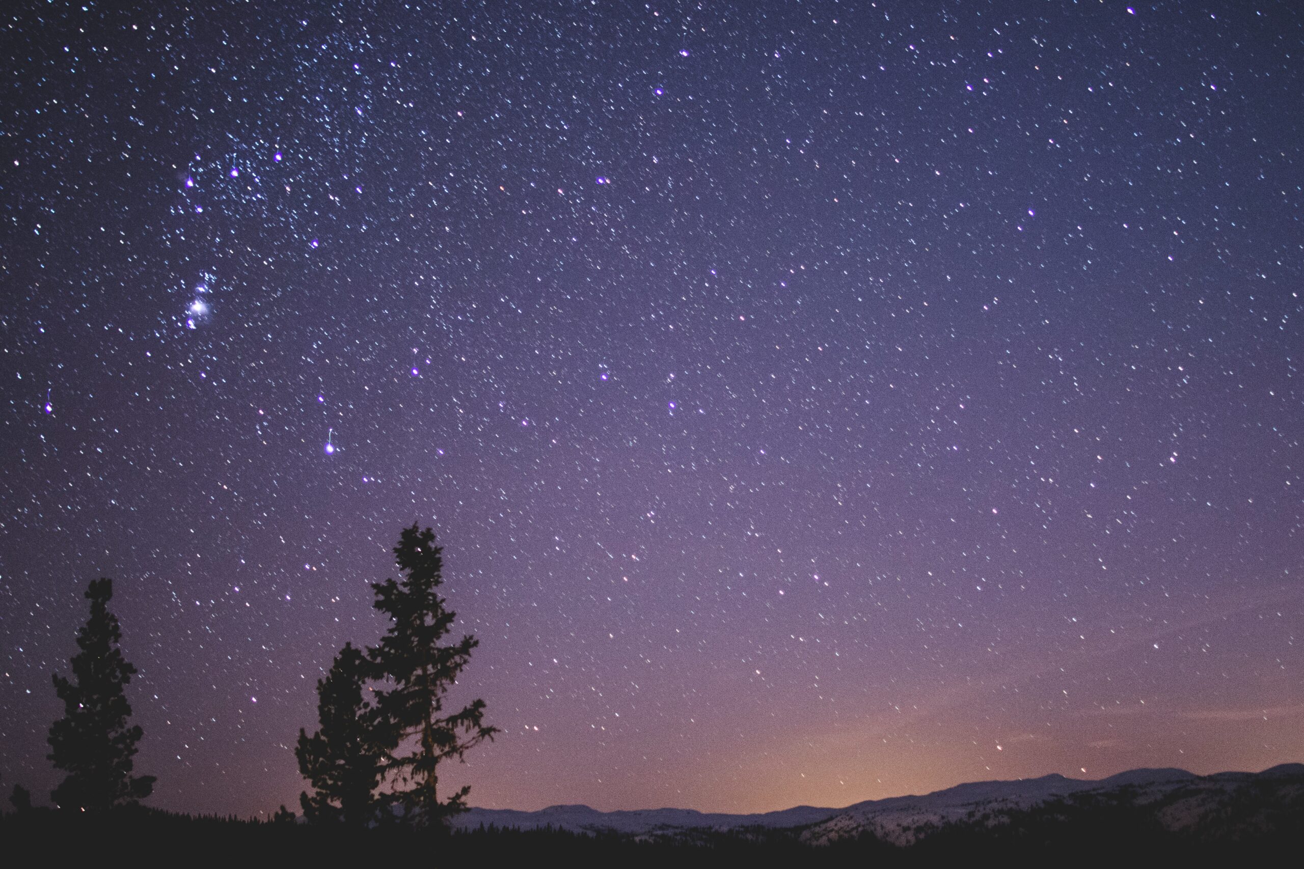 silhouette-of-spruce-trees-under-starry-night-955855.jpg