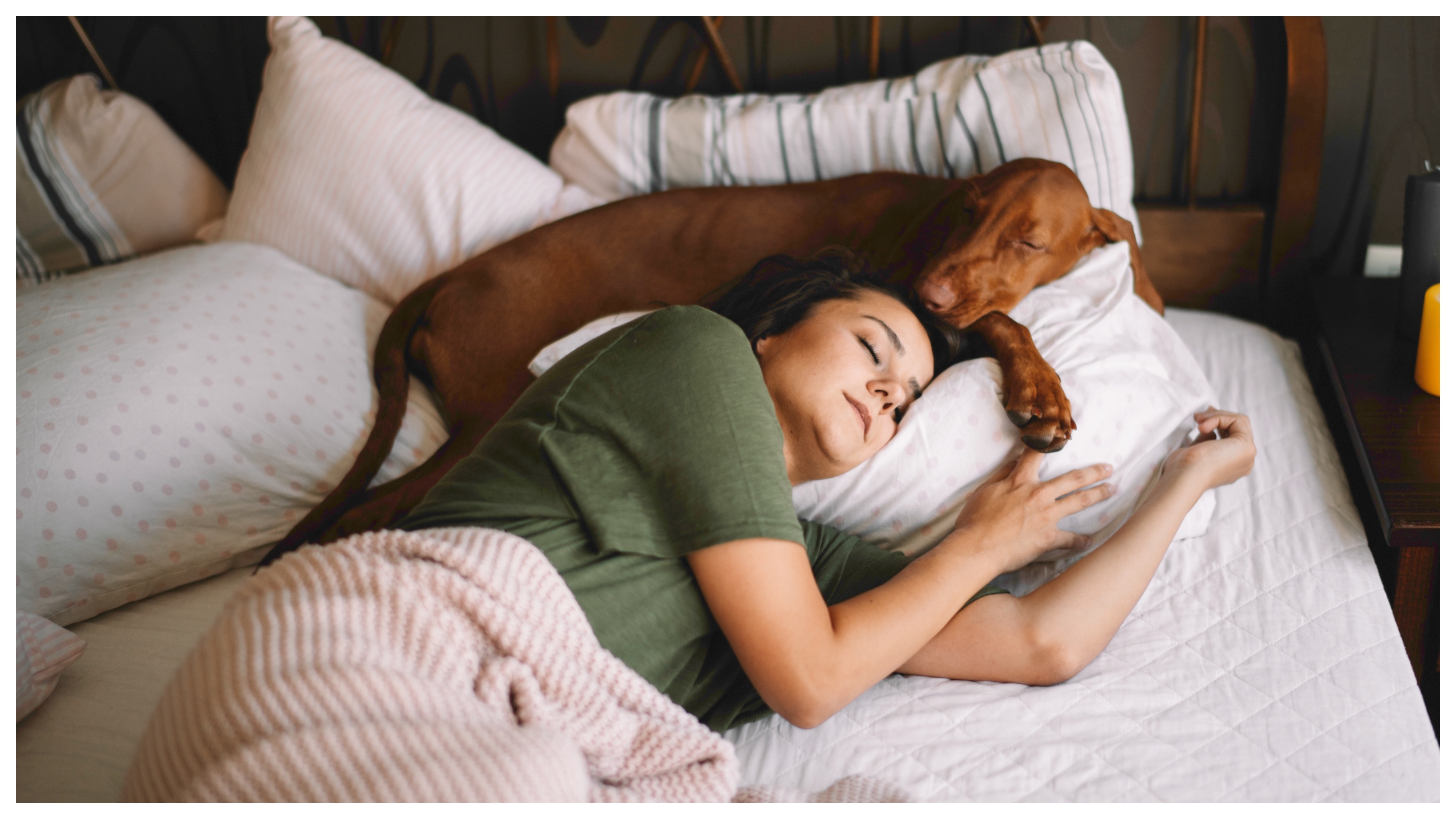 sleep_with_dogs-1.jpg