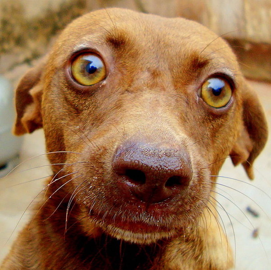 staring.jpg