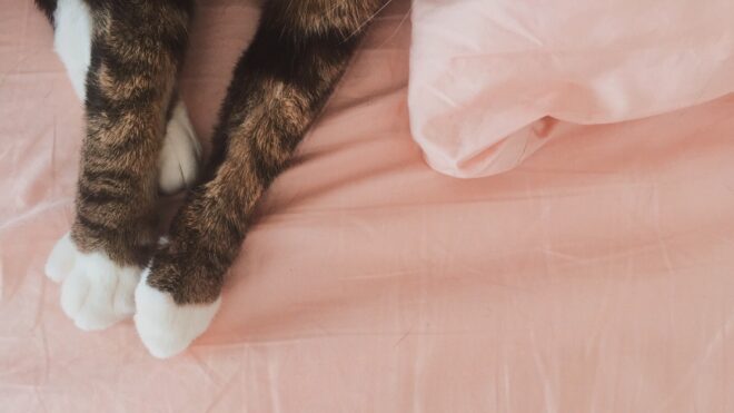 Processed with VSCO with a8 preset